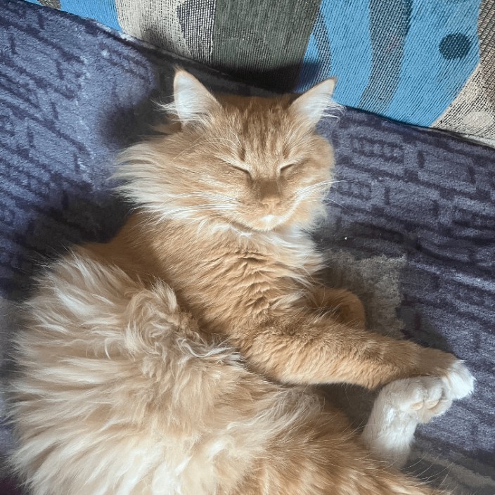 kitstepan.eth Ethereum Name Service (ENS and .eth domain) PFP