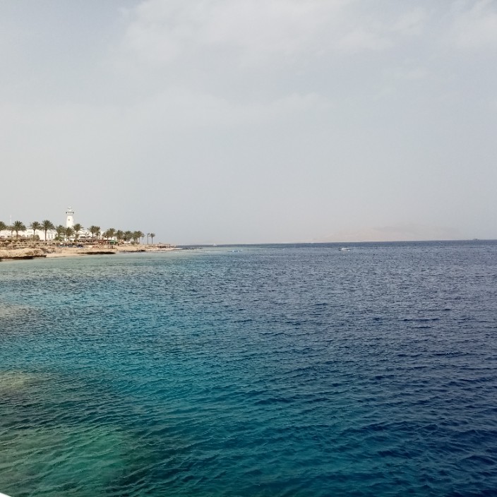 kosunvkt.eth Ethereum Name Service (ENS and .eth domain) PFP