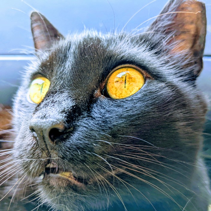 kovilaritch.eth Ethereum Name Service (ENS and .eth domain) PFP