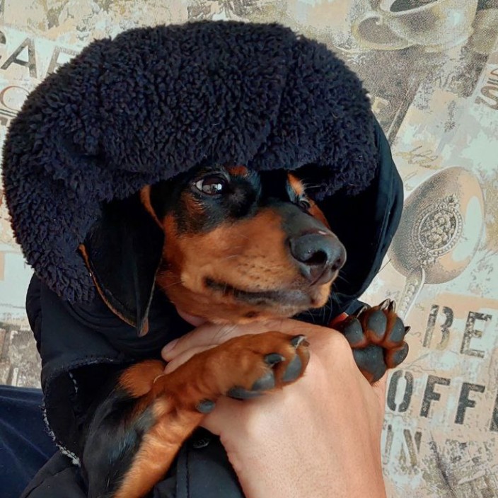 krasuna.eth Ethereum Name Service (ENS and .eth domain) PFP