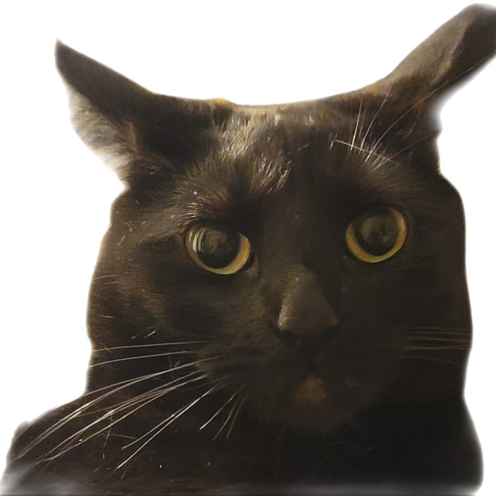 kreaken.eth Ethereum Name Service (ENS and .eth domain) PFP