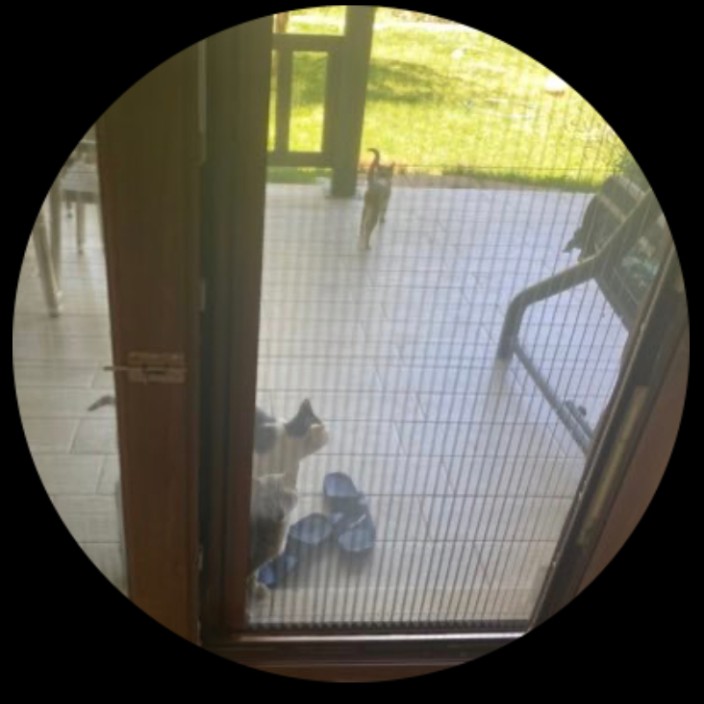 kriptoxn.base.eth Basenames (.base.eth domains) based on ENS PFP