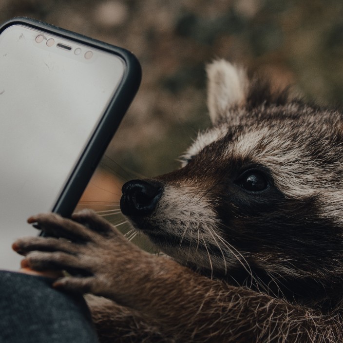 KRO (kro.eth) Ethereum Name Service (ENS and .eth domain) PFP