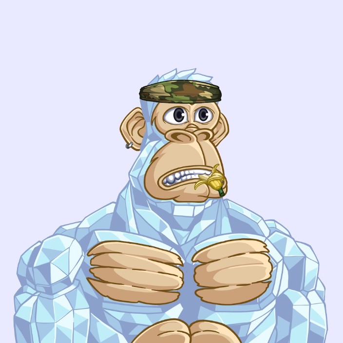 knoxa (knoxa.lens) Lens social identity (.lens handle) PFP