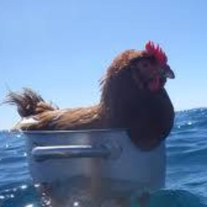 lagonzalera.eth Ethereum Name Service (ENS and .eth domain) PFP