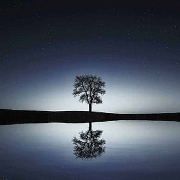 lamdu.eth Ethereum Name Service (ENS and .eth domain) PFP