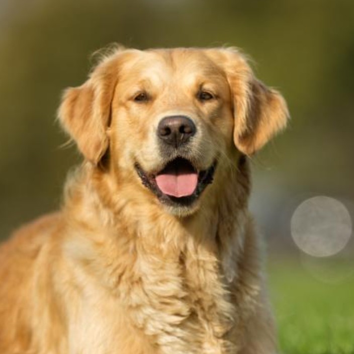 landic.eth Ethereum Name Service (ENS and .eth domain) PFP