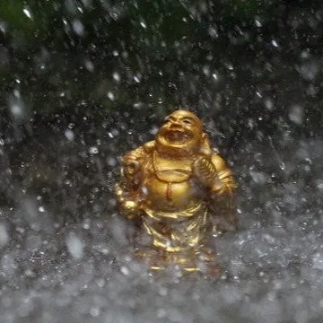 laughingbuddha.eth Ethereum Name Service (ENS and .eth domain) PFP