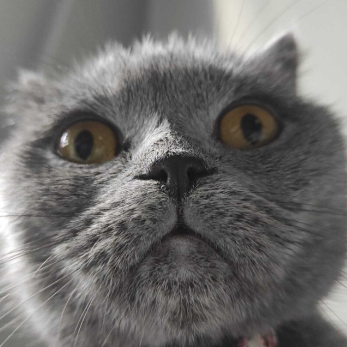 layer2emre.eth Ethereum Name Service (ENS and .eth domain) PFP