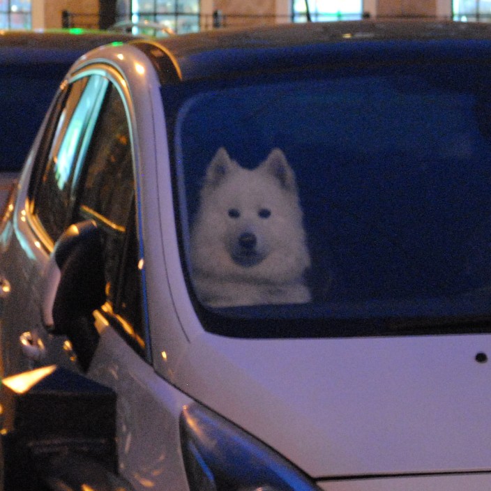 layero.eth Ethereum Name Service (ENS and .eth domain) PFP