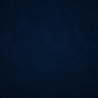 echelons.eth Ethereum Name Service (ENS and .eth domain) PFP