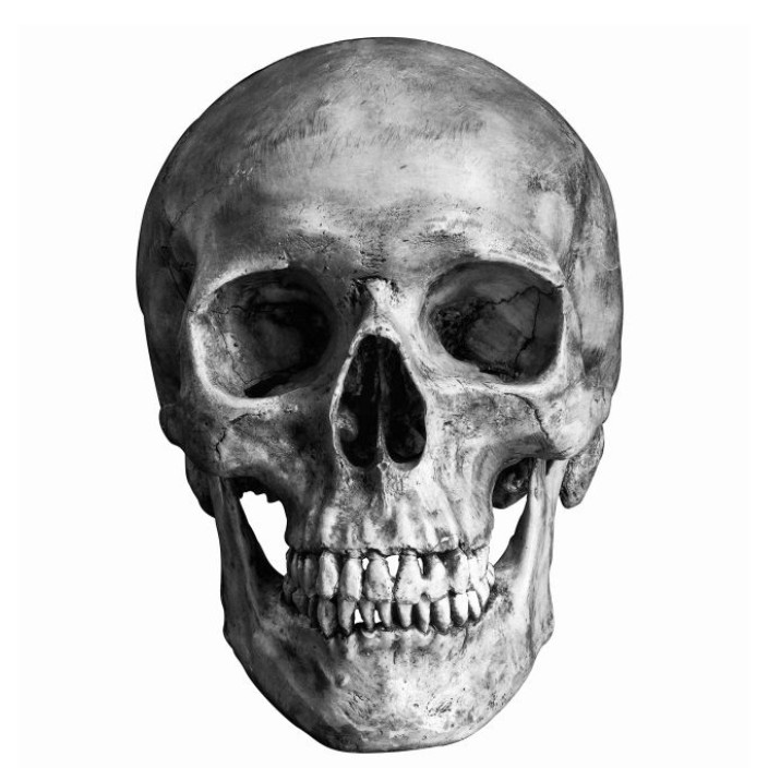 lethalforce.eth Ethereum Name Service (ENS and .eth domain) PFP