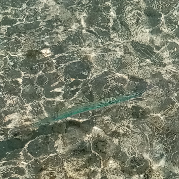 levchencoig.eth Ethereum Name Service (ENS and .eth domain) PFP