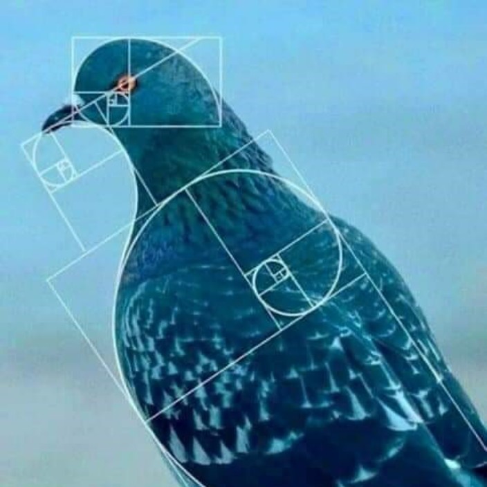 level941.eth Ethereum Name Service (ENS and .eth domain) PFP