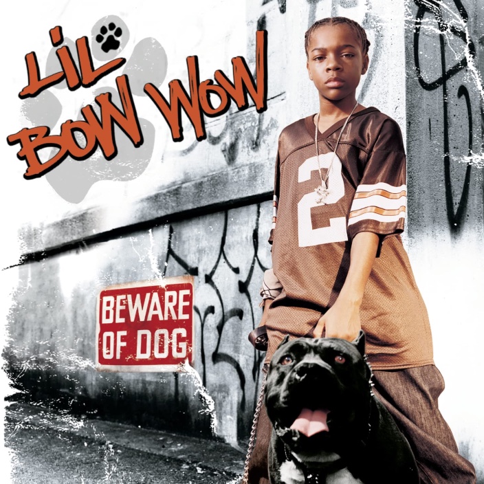 lilbowwow.eth Ethereum Name Service (ENS and .eth domain) PFP