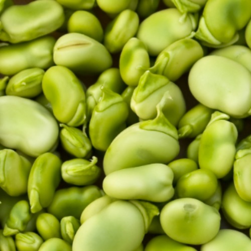 limabeans.eth Ethereum Name Service (ENS and .eth domain) PFP