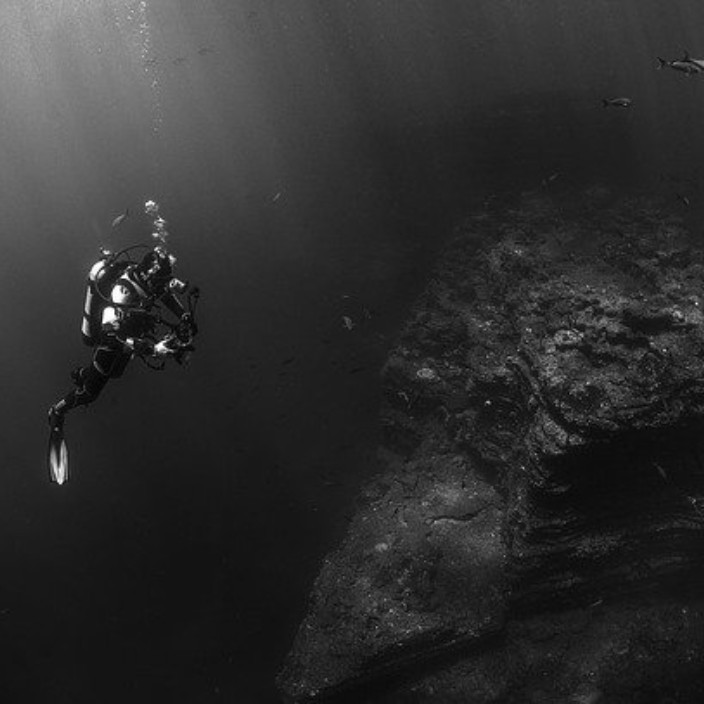 linopper.eth Ethereum Name Service (ENS and .eth domain) PFP