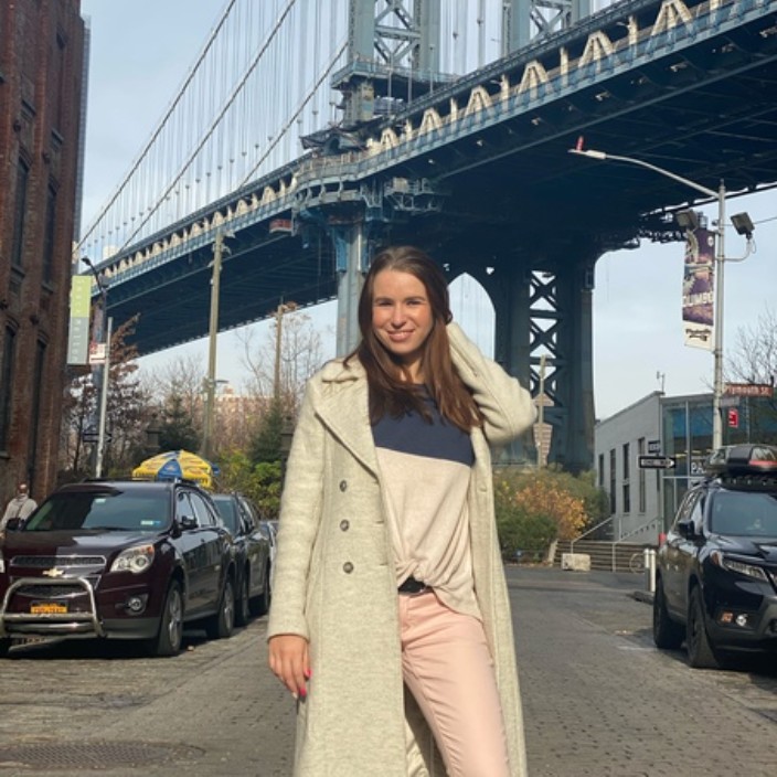 lisarobinson.linea.eth Linea Name Service (.linea.eth domains) based on ENS PFP