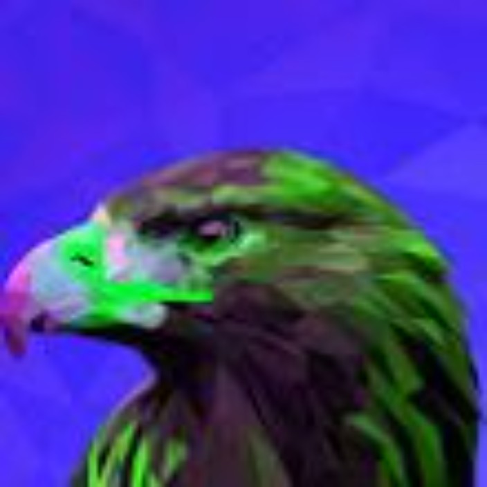 Eagle (liteeagle.eth) Ethereum Name Service (ENS and .eth domain) PFP