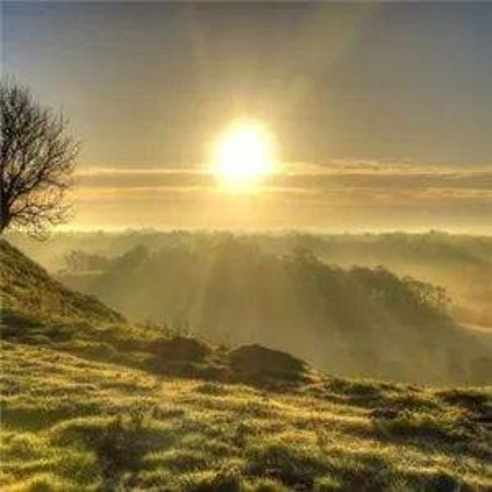 longliu40099.eth Ethereum Name Service (ENS and .eth domain) PFP