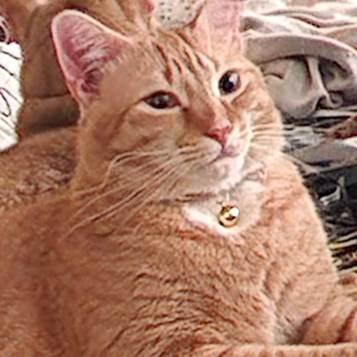 lookparadise.eth Ethereum Name Service (ENS and .eth domain) PFP