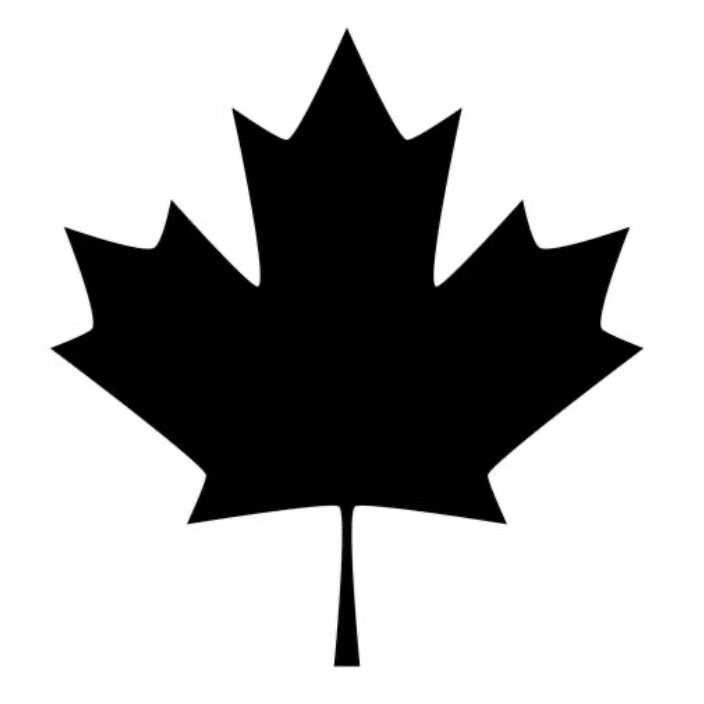 lostcanadian.eth Ethereum Name Service (ENS and .eth domain) PFP
