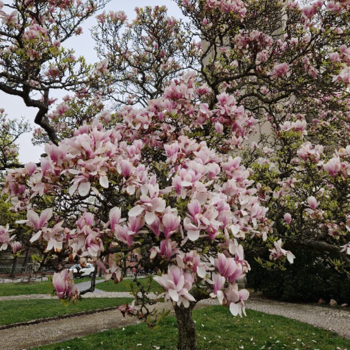 lucky777onme.eth Ethereum Name Service (ENS and .eth domain) PFP