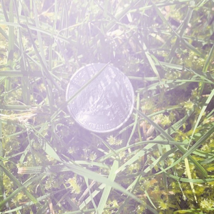 luckygirl.eth Ethereum Name Service (ENS and .eth domain) PFP