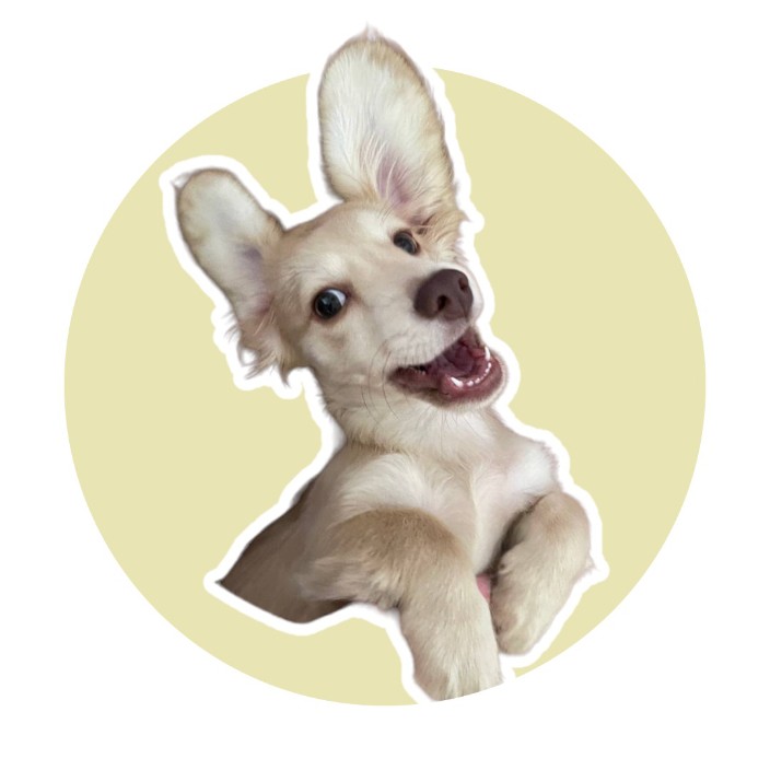 lupinthedog.eth Ethereum Name Service (ENS and .eth domain) PFP