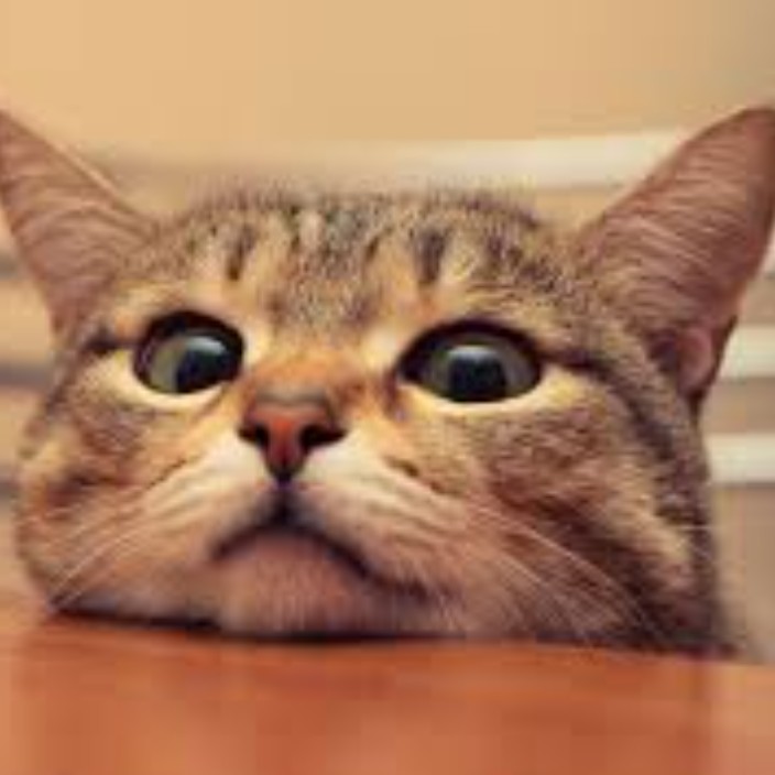 toandev.eth Ethereum Name Service (ENS and .eth domain) PFP