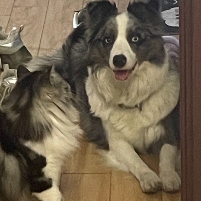 neoko (neokoqwq.lens) Lens social identity (.lens handle) PFP