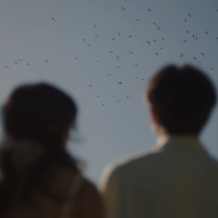 Mohd Ansari (peacewayne.lens) Lens social identity (.lens handle) PFP