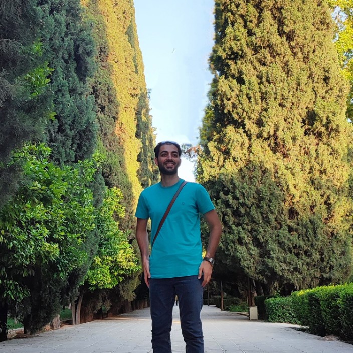 mahdidelavar.eth Ethereum Name Service (ENS and .eth domain) PFP