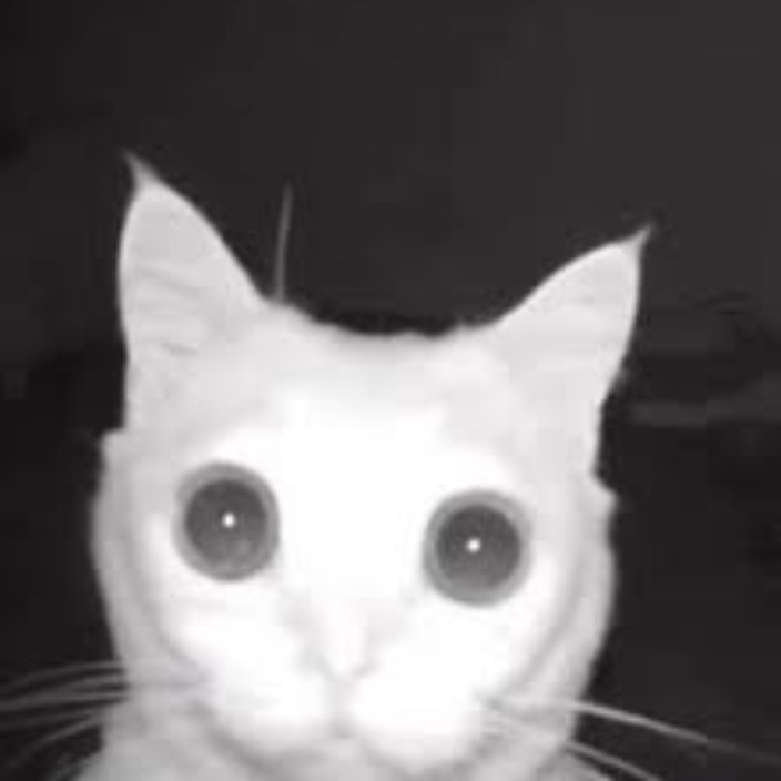 mahiryosyp.eth Ethereum Name Service (ENS and .eth domain) PFP