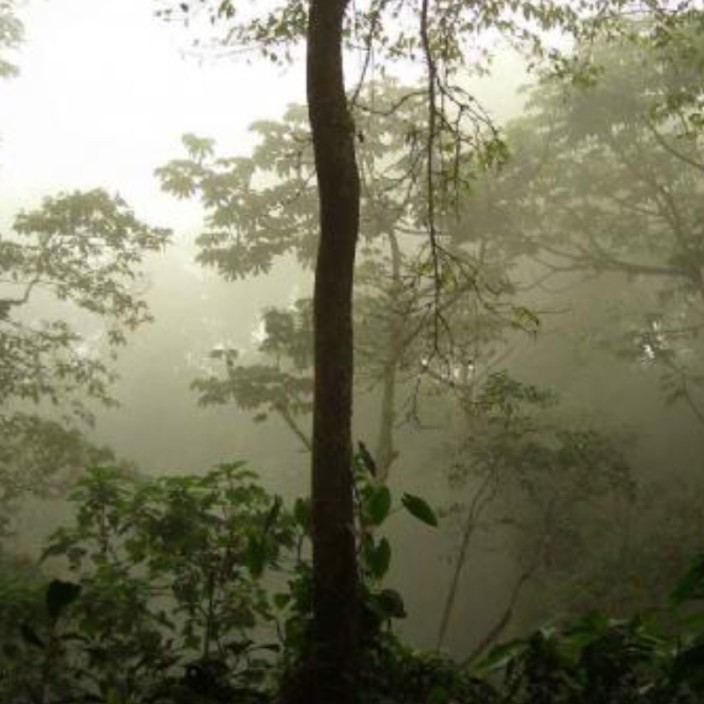 maiderkuadra.eth Ethereum Name Service (ENS and .eth domain) PFP