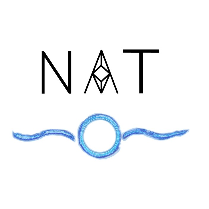 makernat.eth Ethereum Name Service (ENS and .eth domain) PFP