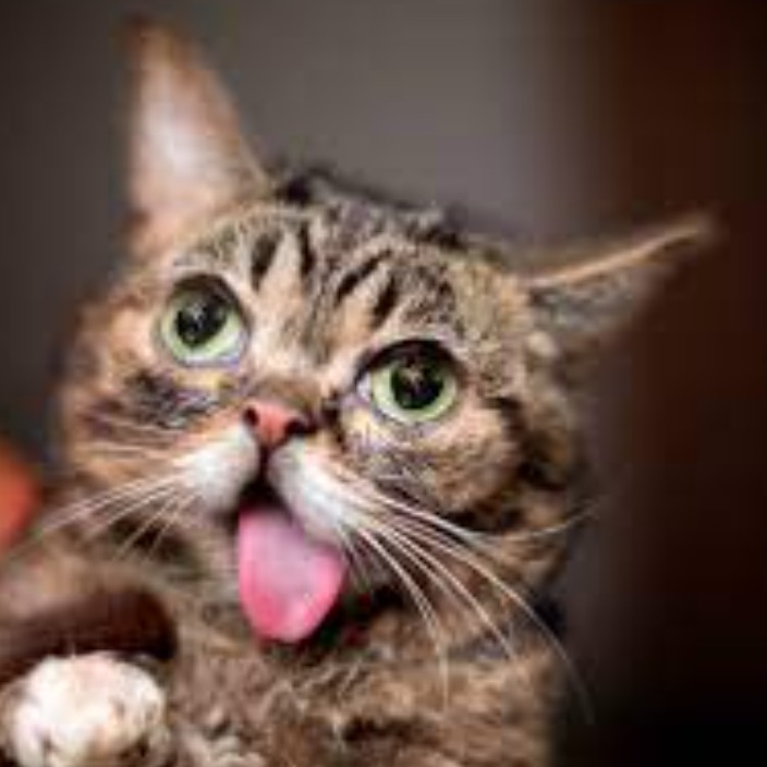 maksimenko7.eth Ethereum Name Service (ENS and .eth domain) PFP