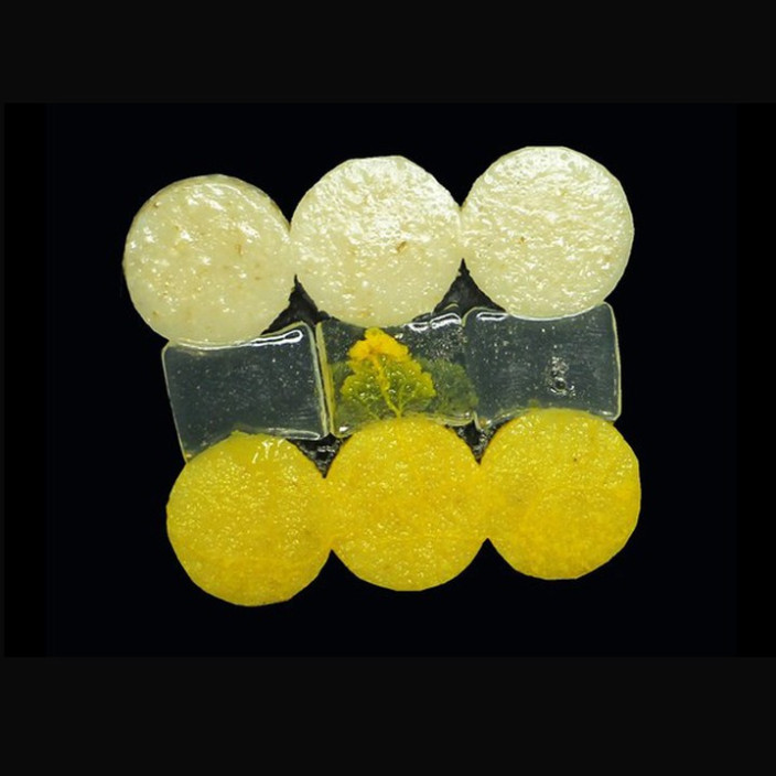 malandro.eth Ethereum Name Service (ENS and .eth domain) PFP