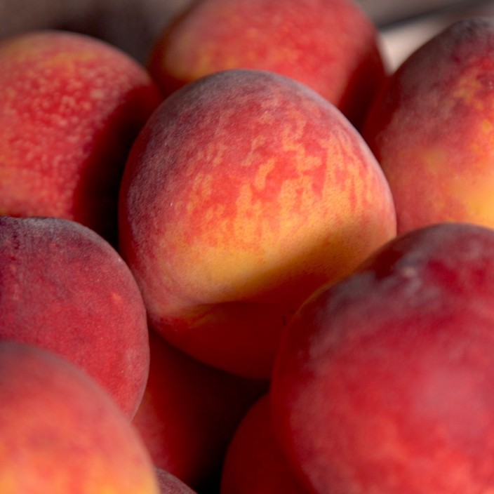 maldorianis.eth Ethereum Name Service (ENS and .eth domain) PFP