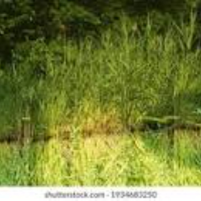 mali1987.eth Ethereum Name Service (ENS and .eth domain) PFP