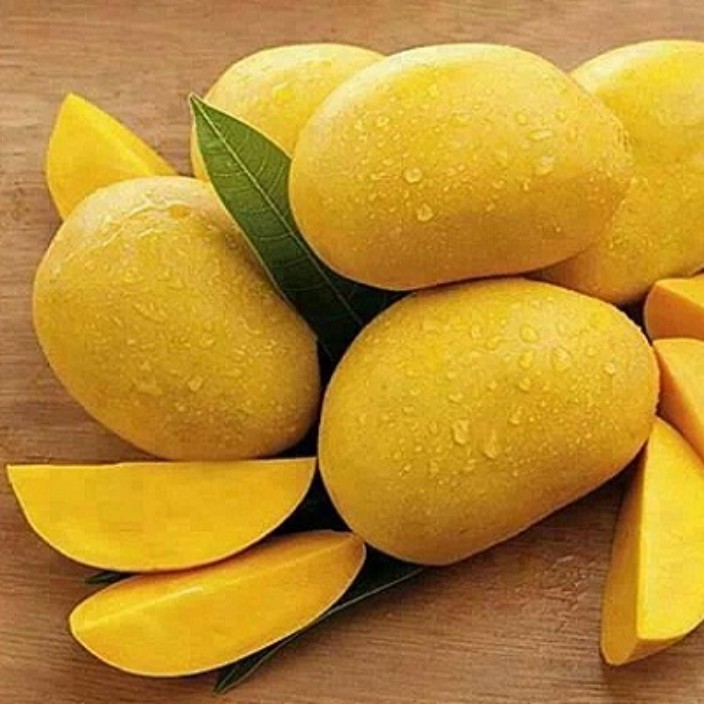mangoes.eth Profile Photo