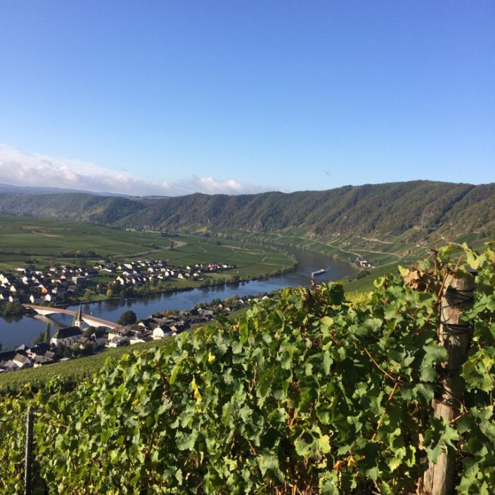 marbroesch77.eth Ethereum Name Service (ENS and .eth domain) PFP