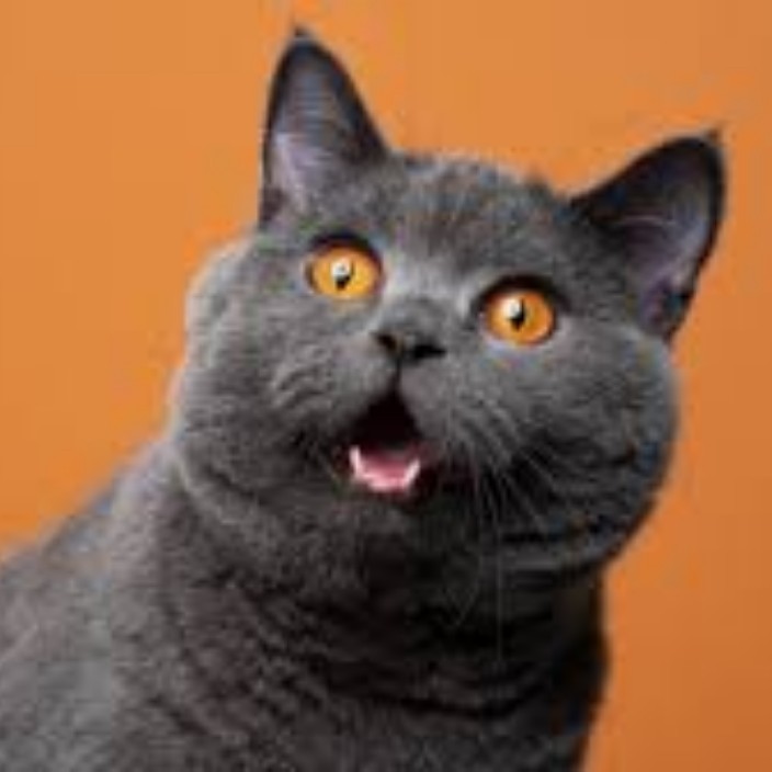 marcelofuraro.eth Ethereum Name Service (ENS and .eth domain) PFP