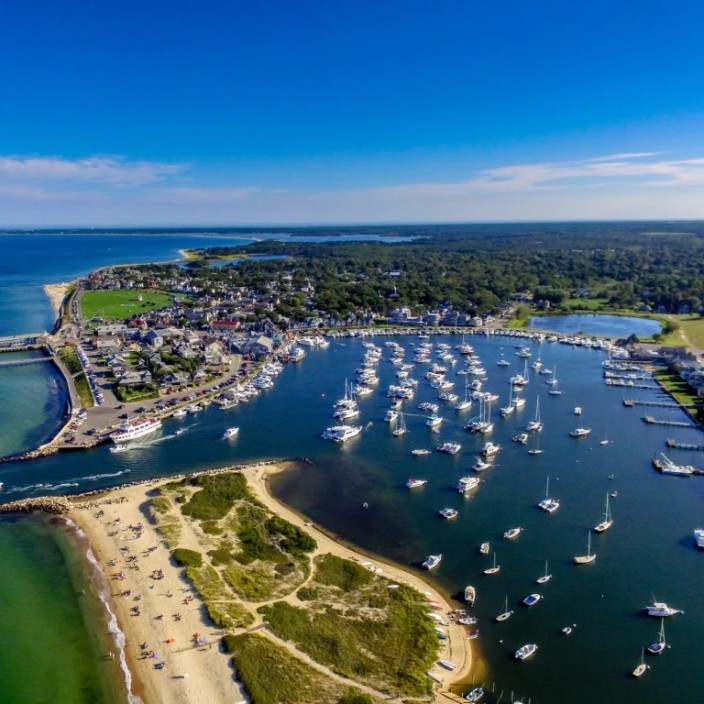 martha’svineyard.eth Ethereum Name Service (ENS and .eth domain) PFP