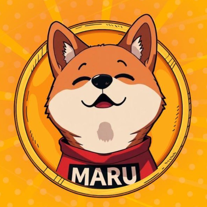 MARU CTO (maructo.eth) Ethereum Name Service (ENS and .eth domain) PFP