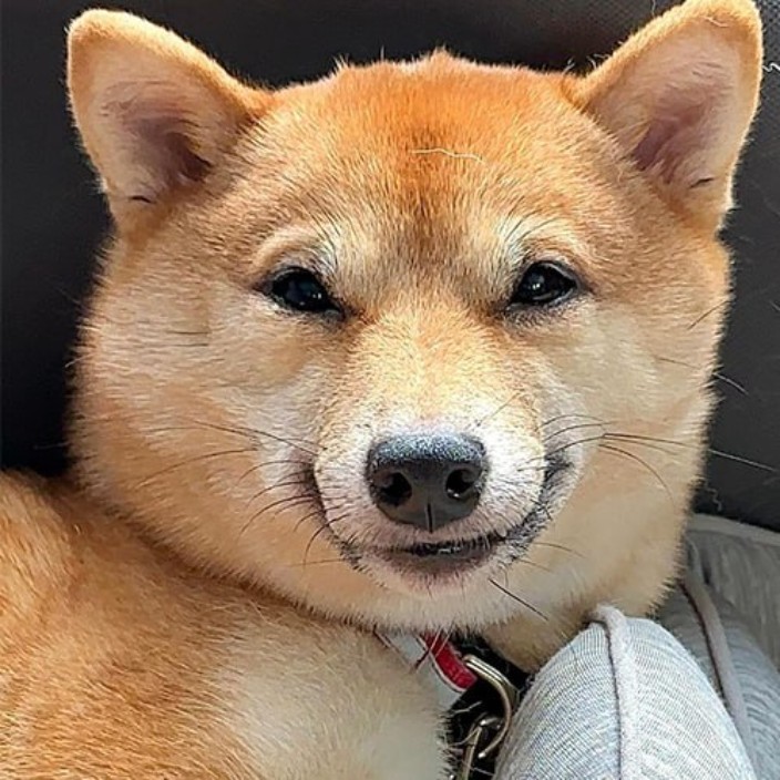 maruinu.eth Ethereum Name Service (ENS and .eth domain) PFP