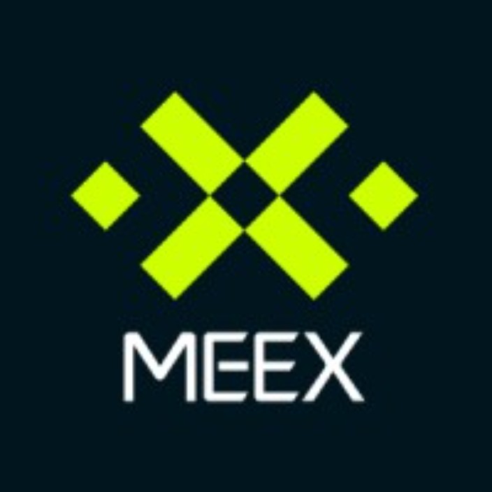 meexholdings.eth Ethereum Name Service (ENS and .eth domain) PFP