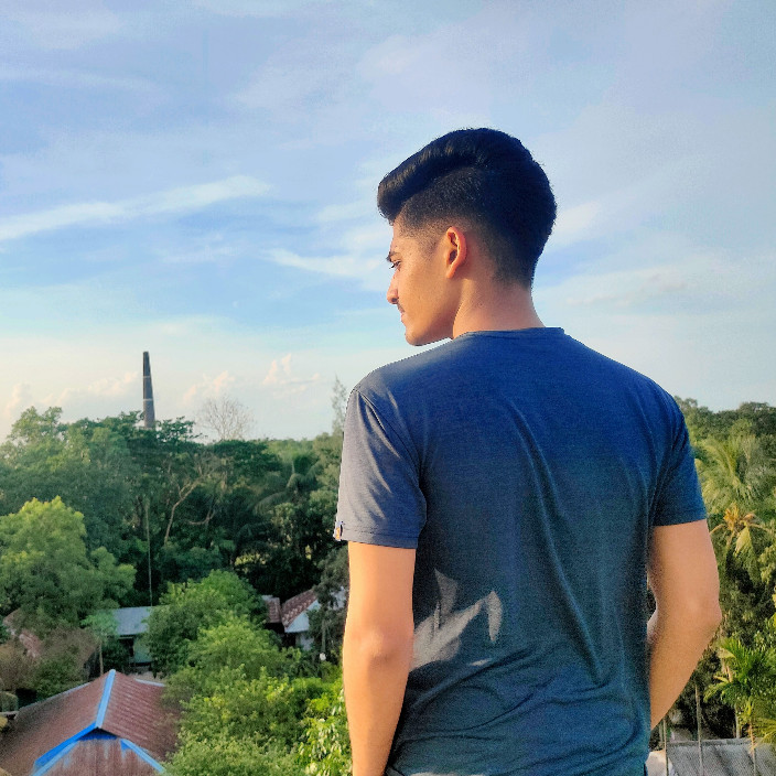 Fakhrul Hasan (mejony.linea.eth) Linea Name Service (.linea.eth domains) based on ENS PFP