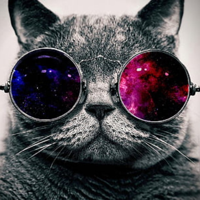 memodev.eth Ethereum Name Service (ENS and .eth domain) PFP