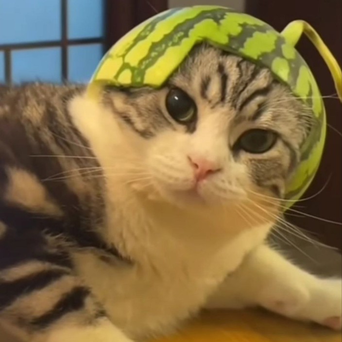 meowmelon.eth Ethereum Name Service (ENS and .eth domain) PFP